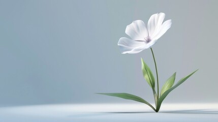 Fototapeta premium flower