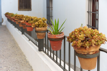 pots with plants inside hanging from a fence in a street of a typical white Andalusian village