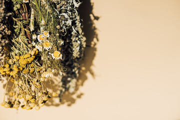 Different types of dried herbs in bundles. Wormwood, tansy, chamomile. High quality photo