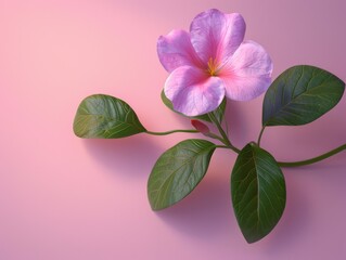 Naklejka premium flower