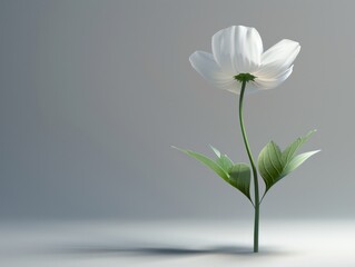 Obraz premium flower