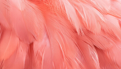 Coral Pink vintage color trends feather texture background