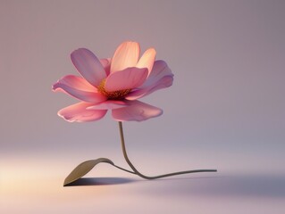 Obraz premium flower