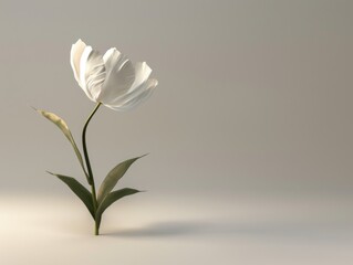 Fototapeta premium flower
