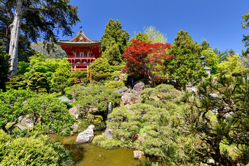 The Japanese Tea Garden on a sunny day in San Francisco, California, a popular feature of Golden Gate Park.