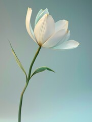 Obraz premium flower