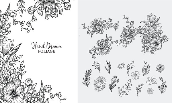 Set of botanical design elegant calligraphic various flowers and brunch, Hand drawn floral frame & Wedding wildflowers for invitation save the date card Etc. . Botanical all layout vector illustration