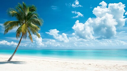 Obraz premium 2410_064.stunning panoramic tropical beach view, with a palm tree standing on fine white sand, crystal-clear turquoise waters meeting the bright blue sky, and a few white clouds floating lazily,