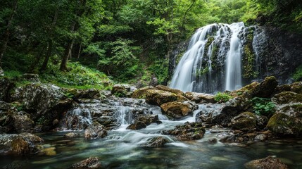 Obraz premium a beautiful waterfall cascading down rocks in a lush forest, symbolizing the beauty and power of nature