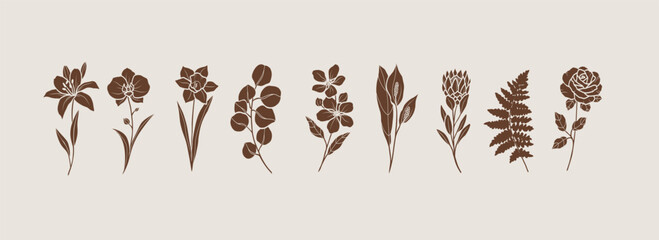 Flat vector botanical logotypes. Lily, orchid, daffodil, eucalyptus, apple blossom, spathiphyllum, protea, fern, rose illustration © Maria