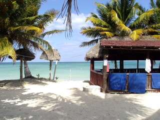 Caribbean dreams