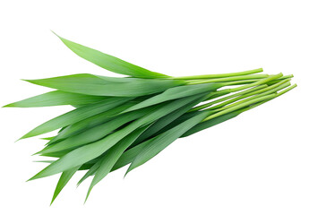 Fototapeta premium High-Quality PNG of Fresh Pandan leaves Isolated on White Background – High Resolution