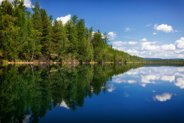 Lake Kadysh in the Republic of Tuva. Landscape with reflection of trees in the water