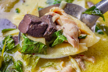 Green Curry with Chicken, Chicken Blood and Chicken Feet