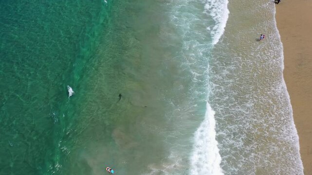 Drone approaching a Leopard shark in La Jolla, California - Triakis semifasciata