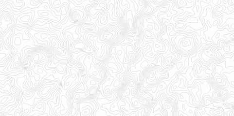 Lines map seamless topographic contour lines vector pattern. Geographic map and topographic contours map background. Vector illustration. White wave paper reliefs.