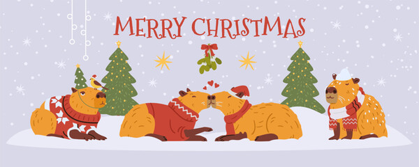 Merry Christmas horizontal vector banner with funny capybaras sitting under snowfall and kissing under mistletoe.