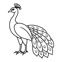 vector silhouette image of apeacock on a white background
