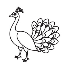 vector silhouette image of apeacock on a white background
