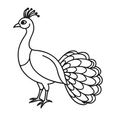 Fototapeta premium vector silhouette image of apeacock on a white background 