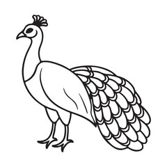 Fototapeta premium vector silhouette image of apeacock on a white background 