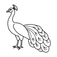 Obraz premium vector silhouette image of apeacock on a white background 