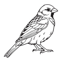 vector silhouette image of a sparrow on a white background
