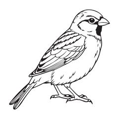 vector silhouette image of a sparrow on a white background
