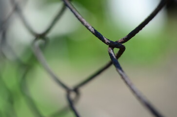 Wire fence nature out of city