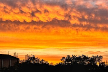 Vibrant sunset with silhouetted trees and buildings