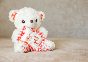Two smiling white and brown teddy bears sitting on carpet at sofa and pillows at nursery room. Togetherness and friendship concept. Kids best friends. Closeup.