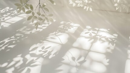 Fototapeta premium Soft Leaf Shadows on White Background