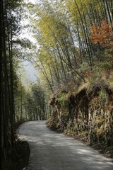 Scenic view of Zhuhai Scenic Area, Mukeng, Sichuan, China