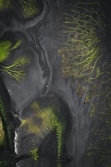 Aerial view of river delta with green vegetation on dark sand