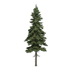 abstract tree isolated on transparent png background - 3D Illustration