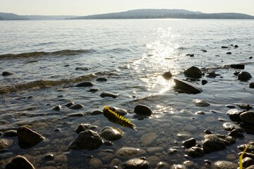 Serene lakeshore with sunlight reflection and distant hills.
