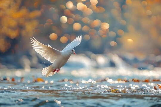 Feast of the Immaculate Conception. A peaceful outdoor scene of a flowing river or lake with a single white dove flying above, symbolizing the Holy Spirit and the Immaculate Conception