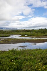 Lush meadow with a winding stream under a cloudy sky