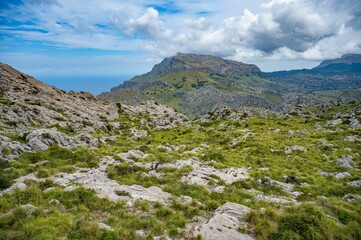 Scenic rocky terrain with lush greenery and mountain range.