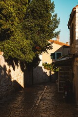 Narrow cobblestone alley in a quaint European village