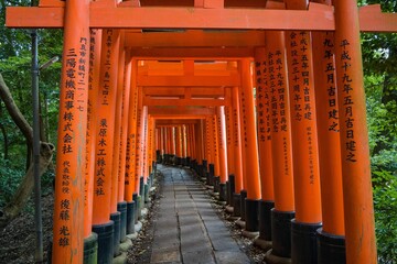 Iconic Torii gates at Fushimi Inari Shrine in Kyoto, Japan