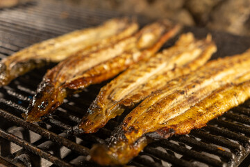 eel festival comacchio regional park po delta cuisine and gastronomy of fish and eel typical dish