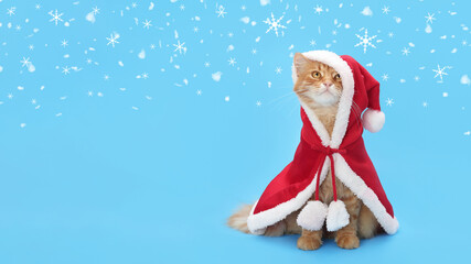 Orange cat dressed as Santa Claus with a red cloak and hat on a blue background. Snowflakes falling around. Santa cat. Christmas celebration. Happy New Year. 2025. Celebration. New Year greeting card.