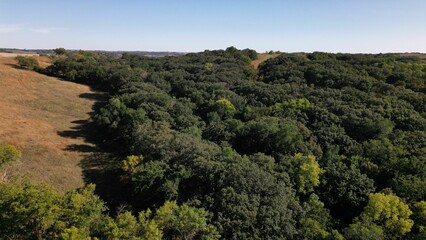 Aerial view of a lush green forest and adjacent grassland under a clear blue sky.