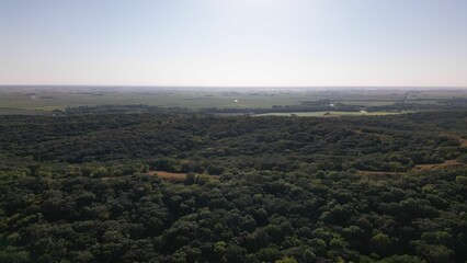 Aerial view of a vast forest landscape with clear skies and distant fields.