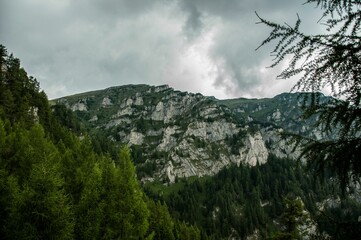 Rocky mountain range with lush green forest under a cloudy sky