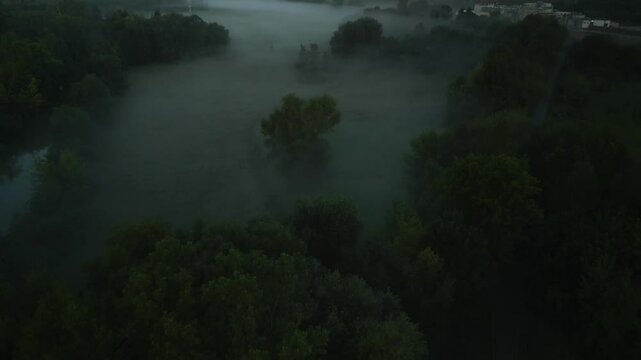 misty green field with lush trees at sunrise in the Saale valley near Jena, Thuringia, Germany