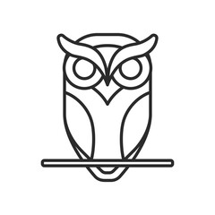 Owl line icon. Owl thin line vector illustration.