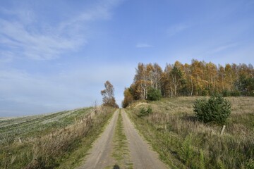 Rural dirt road with autumn trees and fields