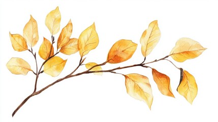 Watercolor illustration of an autumn branch with vibrant yellow leaves, beautifully rendered on an isolated white background. 